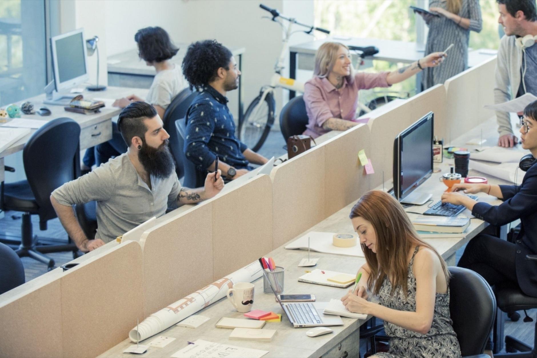 SEO-Masterclass Lernumgebung